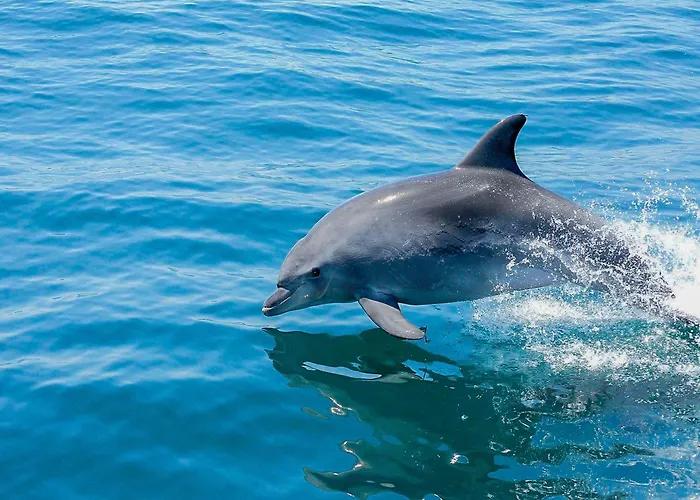 Luxury W Stunning Sea Views Marina