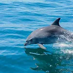 Luxury W Stunning Sea Views Marina